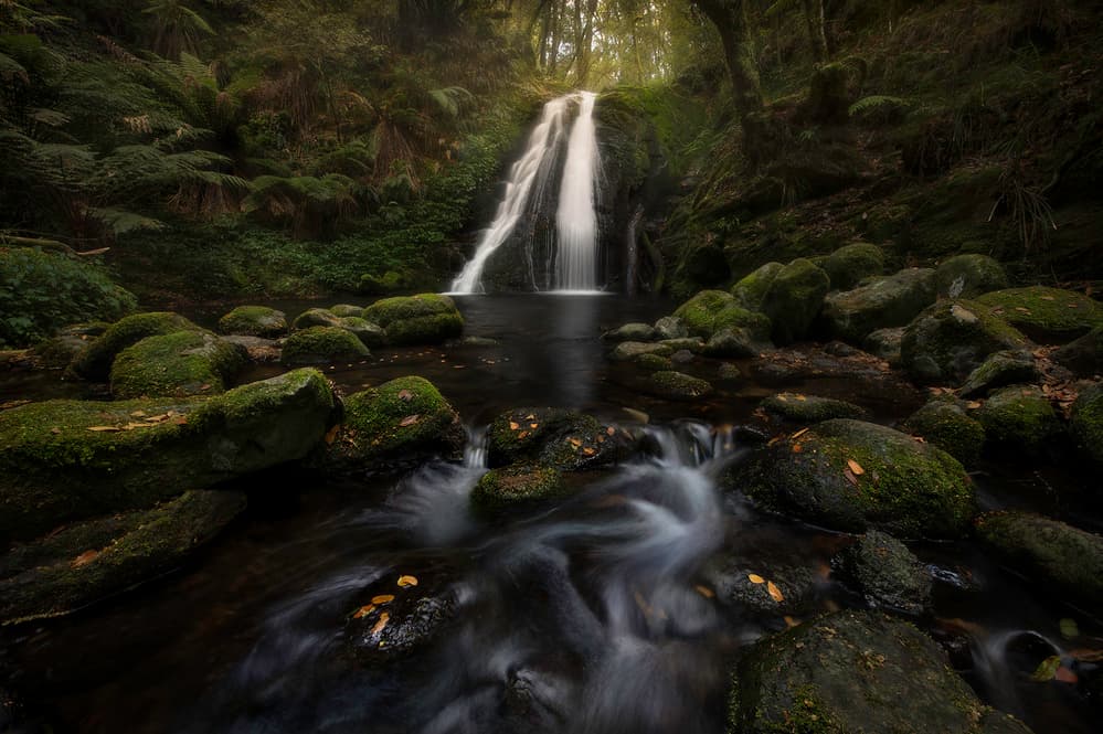 Emerald Forest Falls by Yan Zhang — canvas wall art