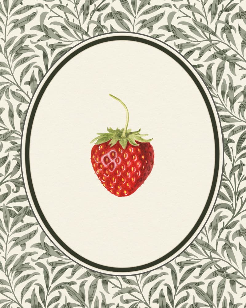 Vintage Strawberry Botanical by Wild Violets — canvas wall art