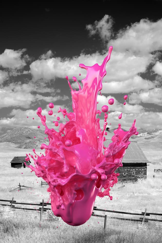 Vibrant Pink Splash Rural by Sue Skellern — canvas wall art