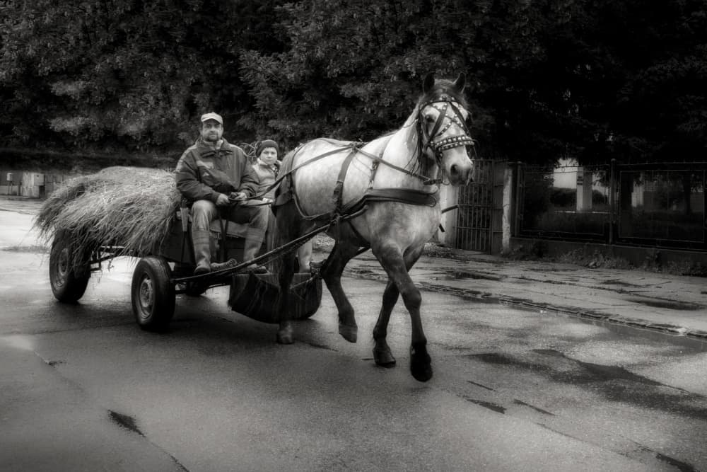 Horse Drawn Hay Cart by Jan Donckers — canvas wall art