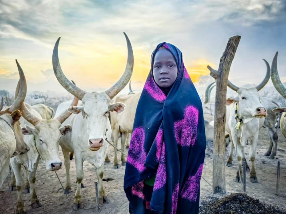 African Girl and Her Cattle by Svetlin Yosifov — canvas wall art