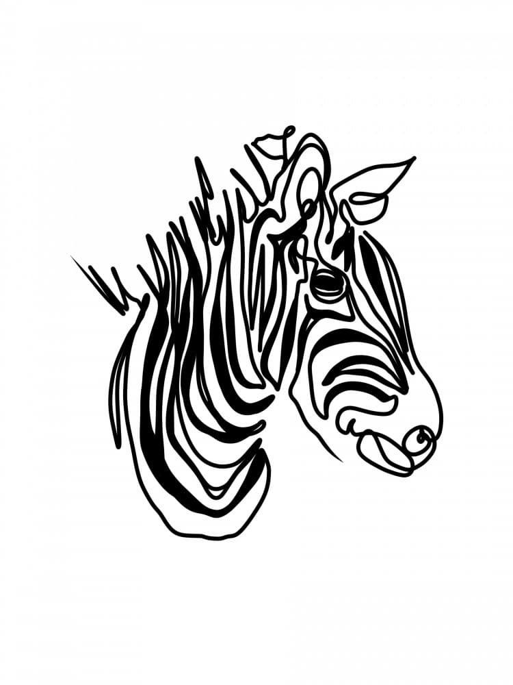 Minimalist Zebra Head by Hanna Lee Tidd — canvas wall art