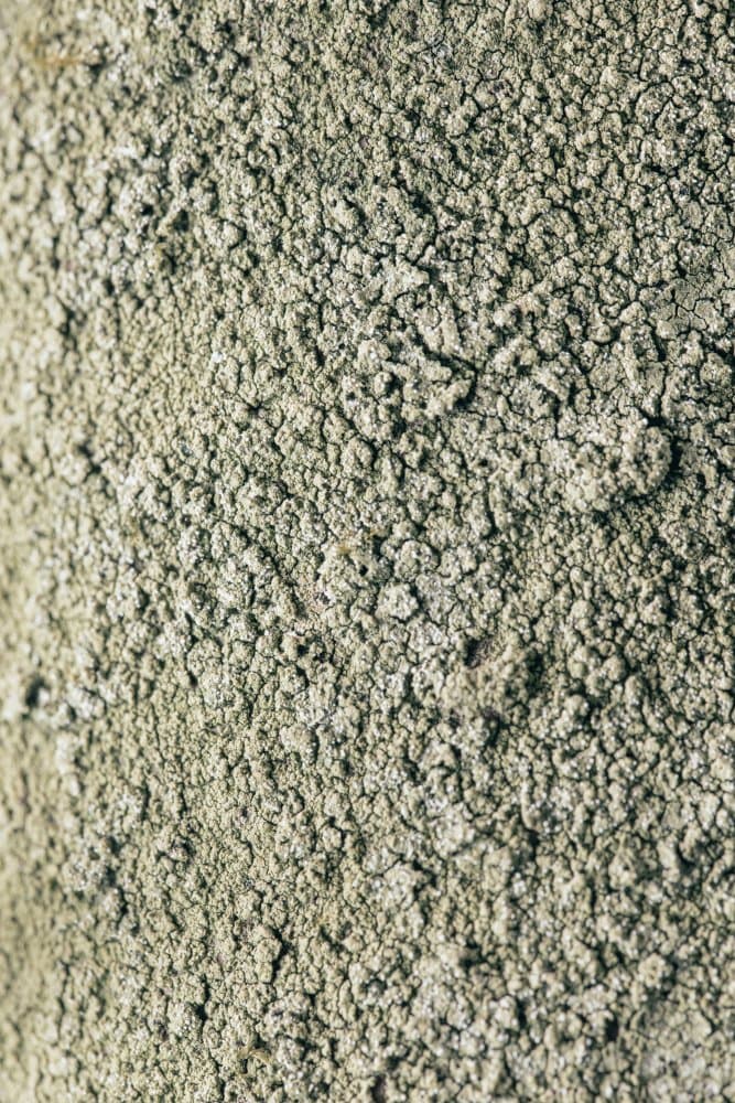 Earthy Textured Stone by Pictufy Studio III — canvas wall art