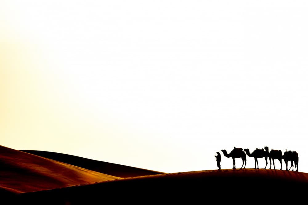 Desert Caravan Silhouette by Corinne Spector — canvas wall art