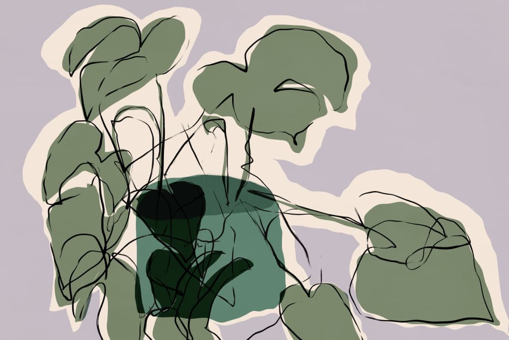 Abstract Potted Plant by Treechild — canvas wall art