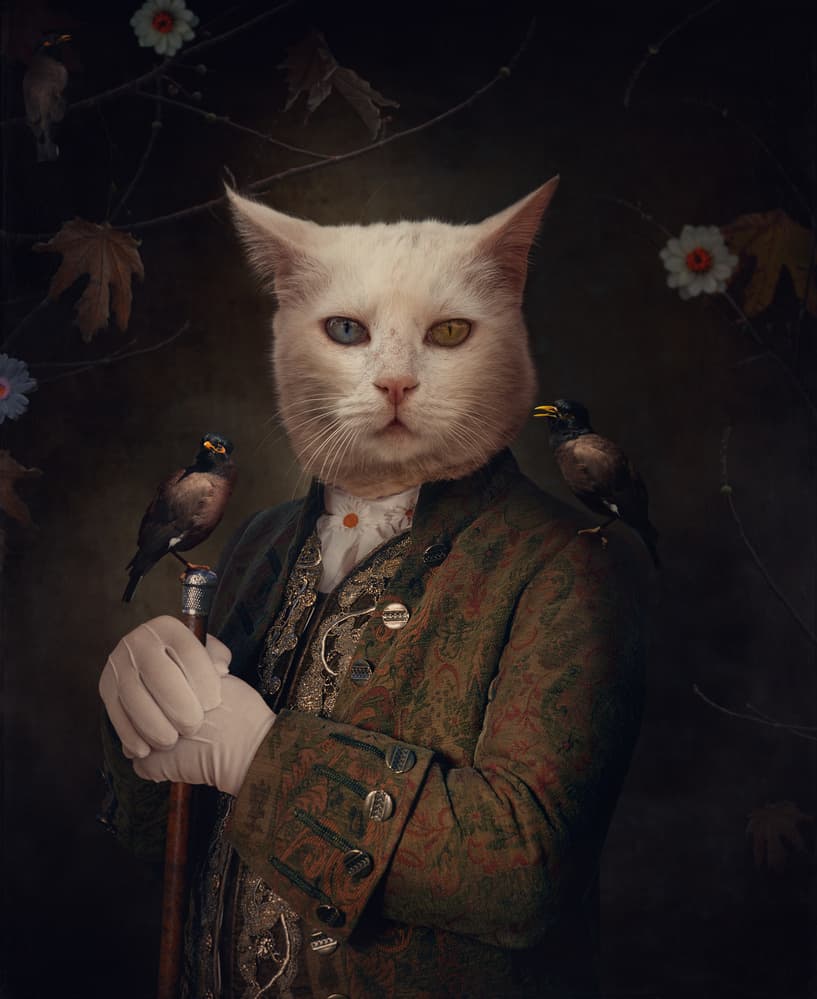 Regal Feline with Birds by Svetlana Melik-Nubarova — canvas wall art
