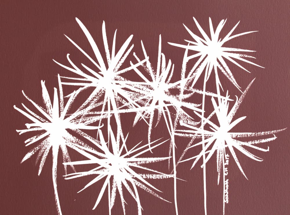 White Botanical Bursts by Santhosh ch — canvas wall art