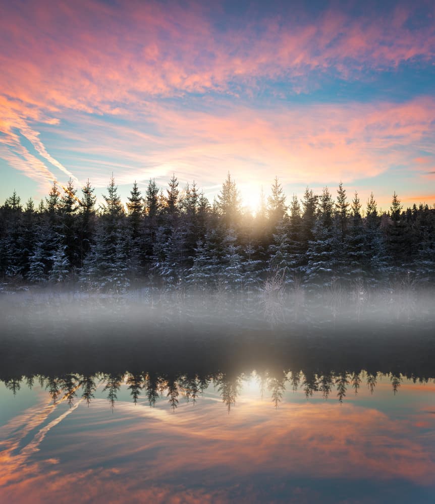 Sunrise Forest Reflections by Christian Lindsten — canvas wall art