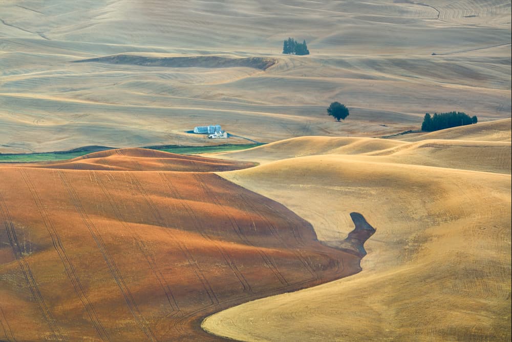 Rolling Golden Fields by John Fan — canvas wall art