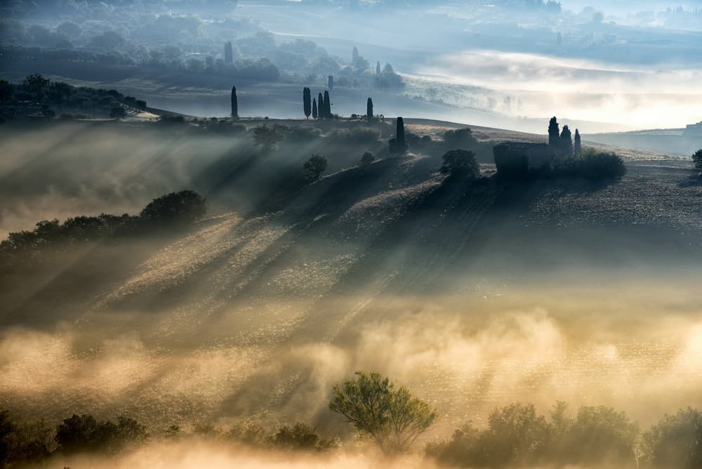 Misty Tuscan Morning Light by Adam Pachula — canvas wall art