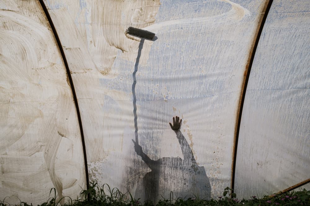Shadow Worker Inside Greenhouse by Ali Ayer — canvas wall art