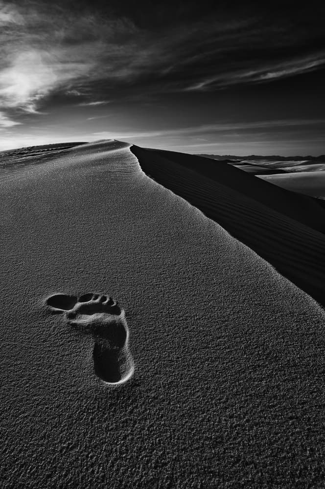 Solitary Footprint by Lydia Jacobs — canvas wall art