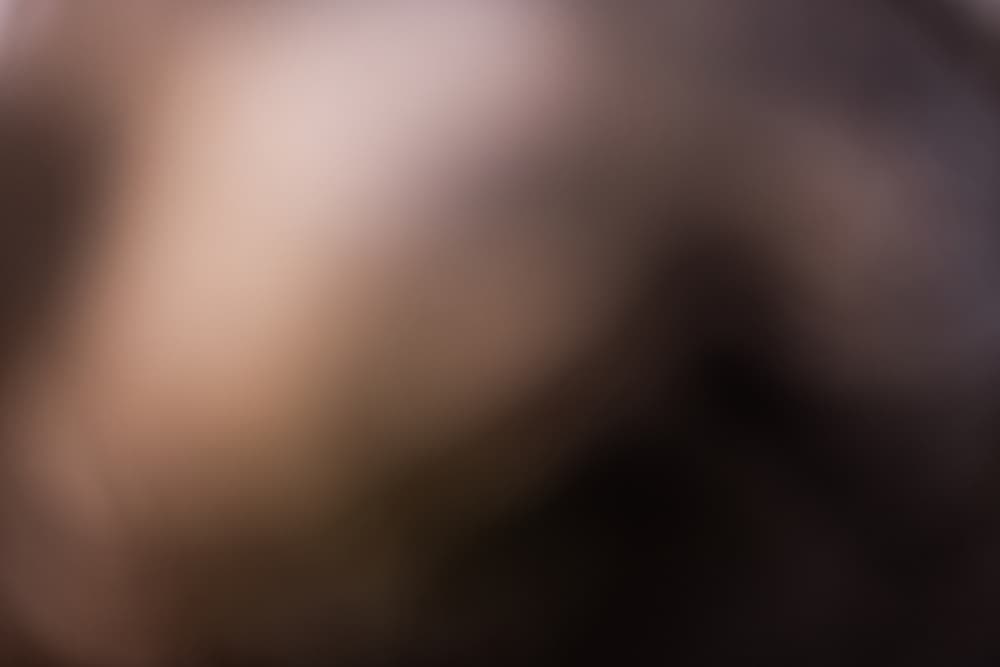 Subtle Warm Form by Mareike Böhmer — canvas wall art