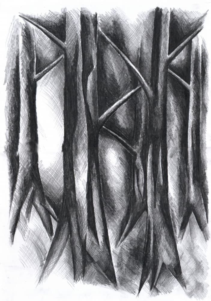 Dark Mysterious Forest by Kulik — canvas wall art