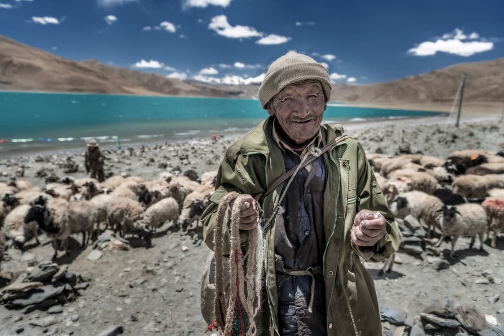 Smiling Shepherd by Turquoise Lake by Sarawut Intarob — canvas wall art