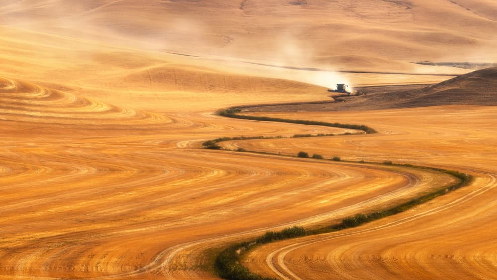 Golden Harvest Fields by James Lu — canvas wall art