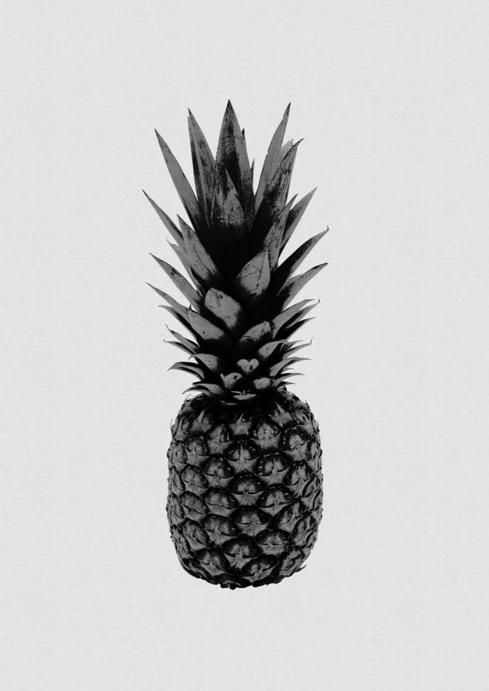 Striking Pineapple Silhouette by Orara Studio — canvas wall art