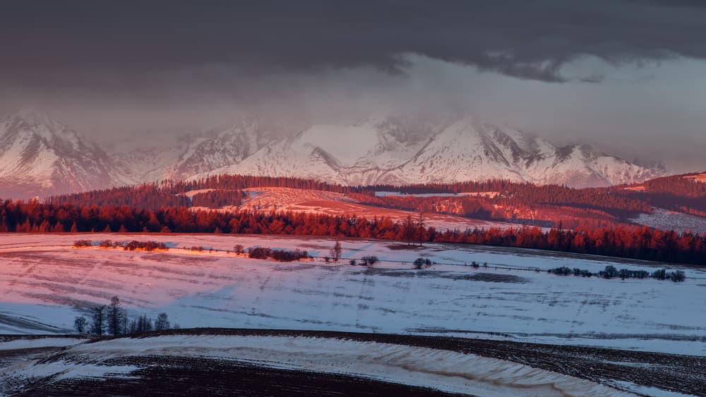 Winter Red Mountain Glow by Peter Svoboda MQEP — canvas wall art