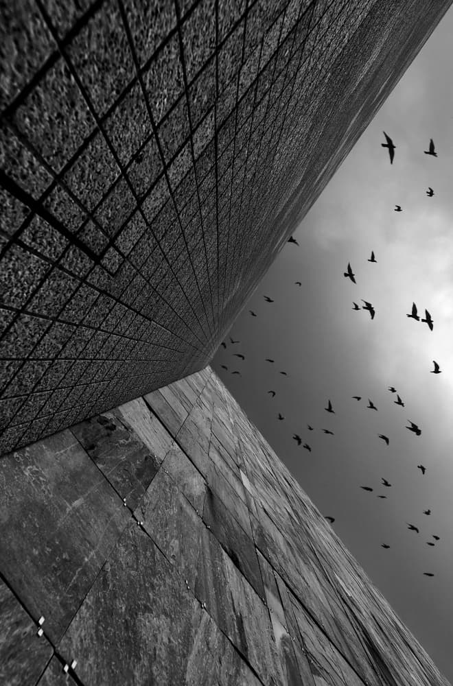 Birds Above Geometric Walls by Jorge Pimenta — canvas wall art