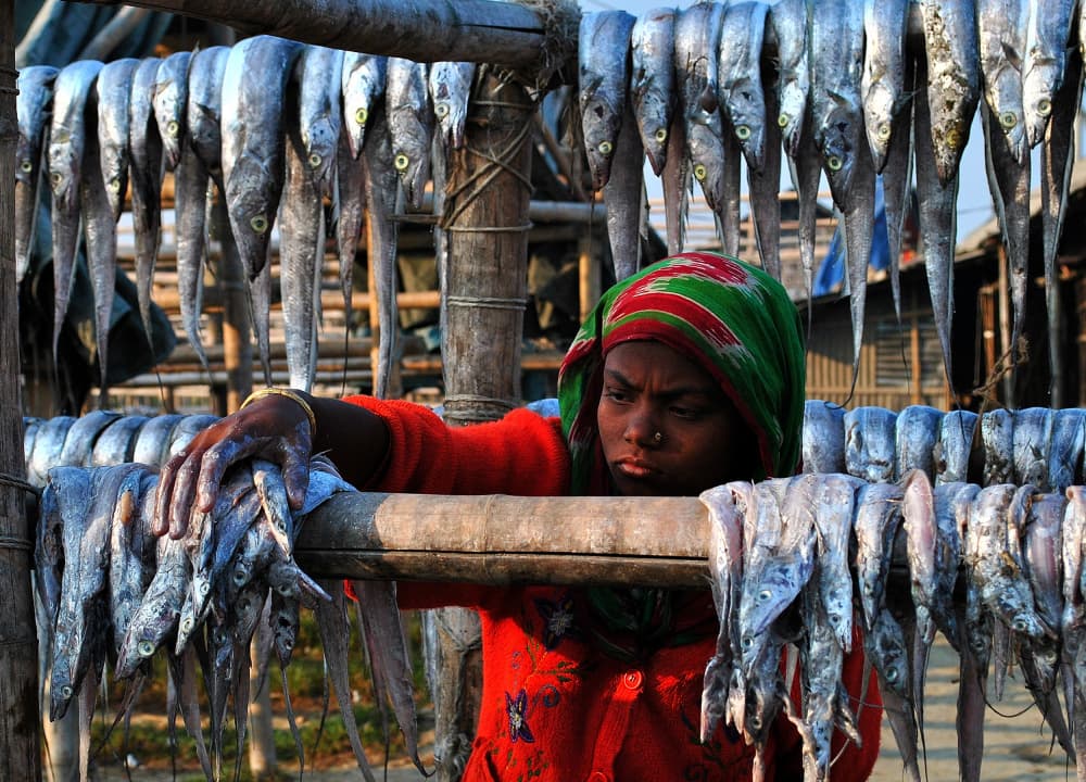 Woman Drying Fish by MD MAHABUB HOSSAIN KHAN — canvas wall art