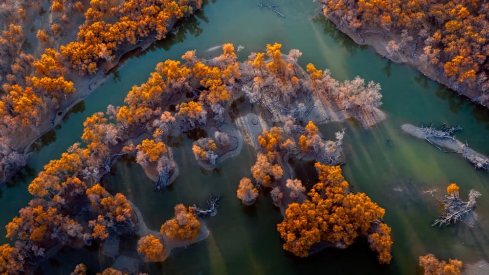 Golden Autumn River by John J. Chen — canvas wall art