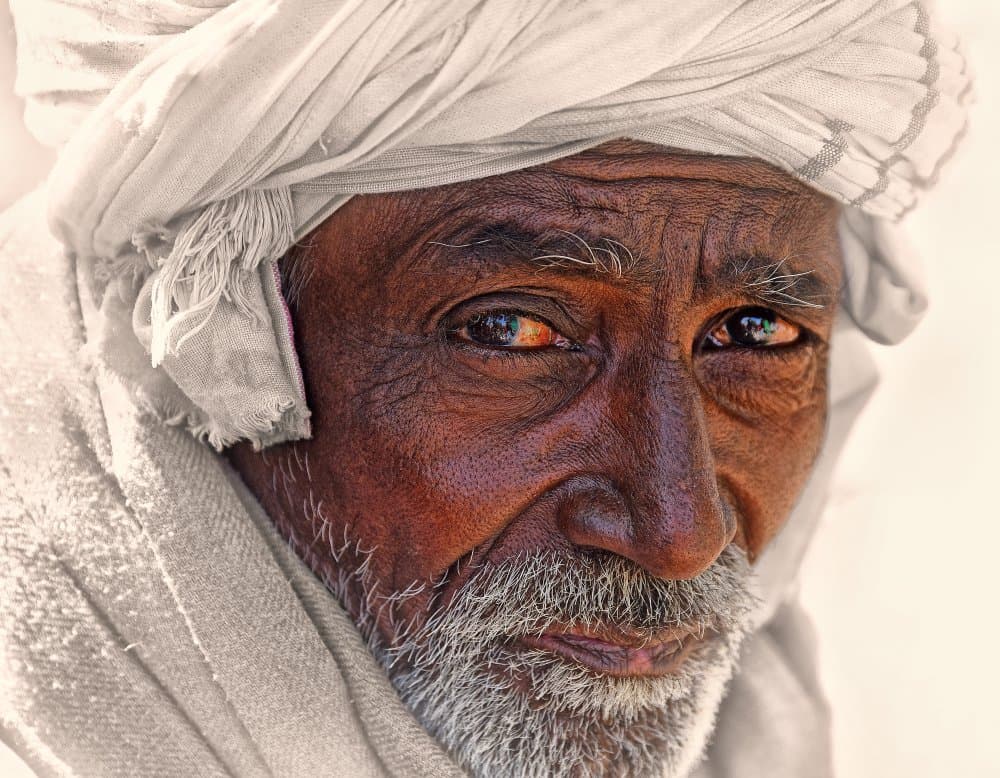 Dignified Man's Portrait by Lou Urlings — canvas wall art