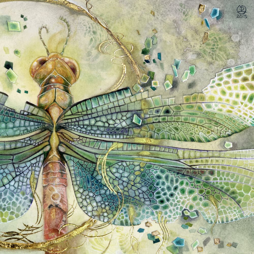 Jeweled Dragonfly Flight by Stephanie Law — canvas wall art