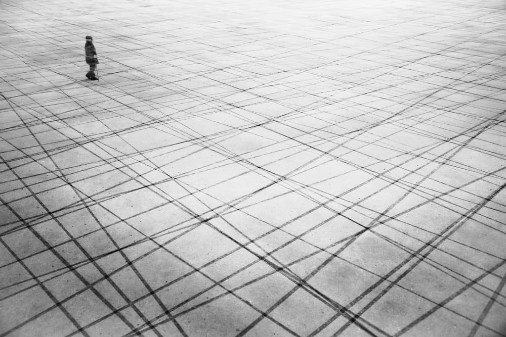 Solitary Walk On Lines by Anna Niemiec — canvas wall art