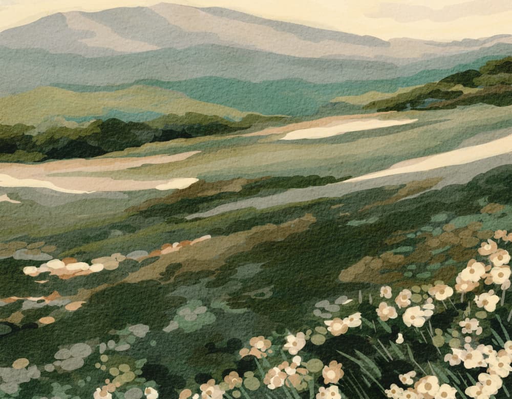 Wildflower Mountain Landscape by Nikita Jariwala — canvas wall art