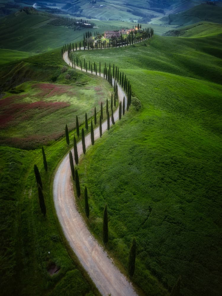Winding Tuscan Road by Bartolome Lopez — canvas wall art