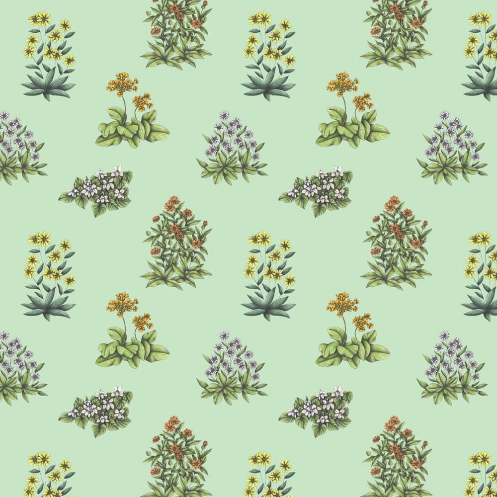 Colorful Botanical Pattern by Cecilia Battaini — canvas wall art