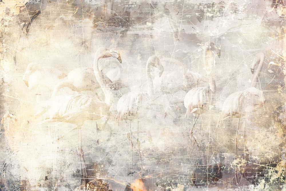 Dreamy Flamingo Flock by Rafal Kulik — canvas wall art