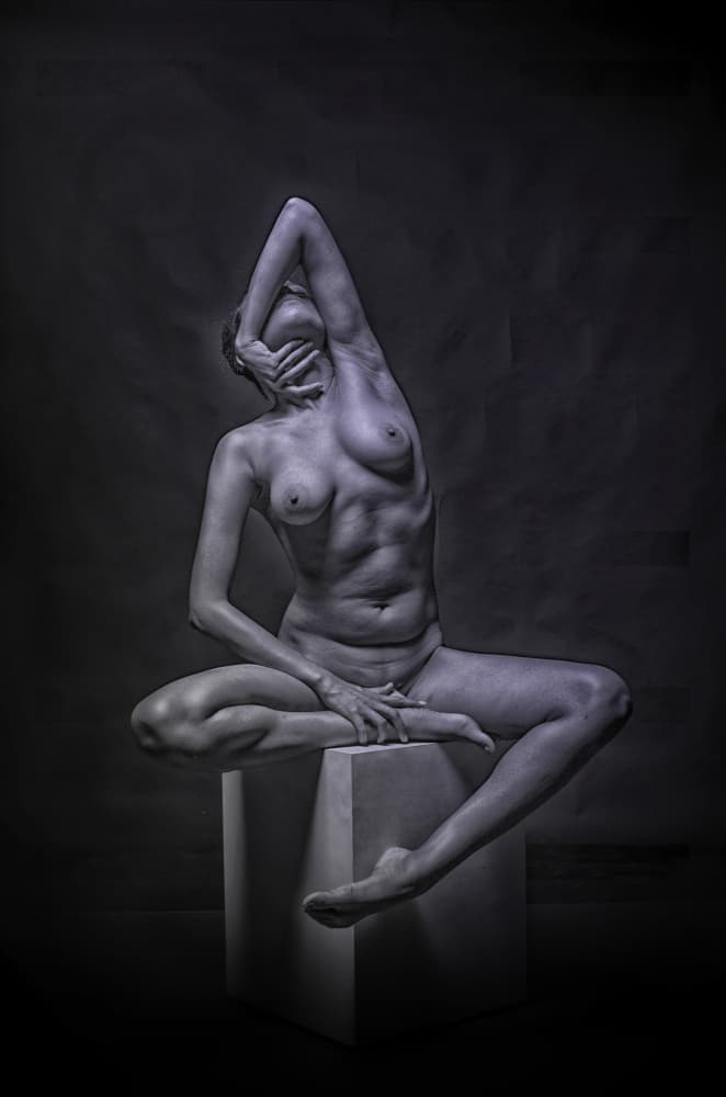HELPLESS by PARTHA BHATTACHARYYA — canvas wall art