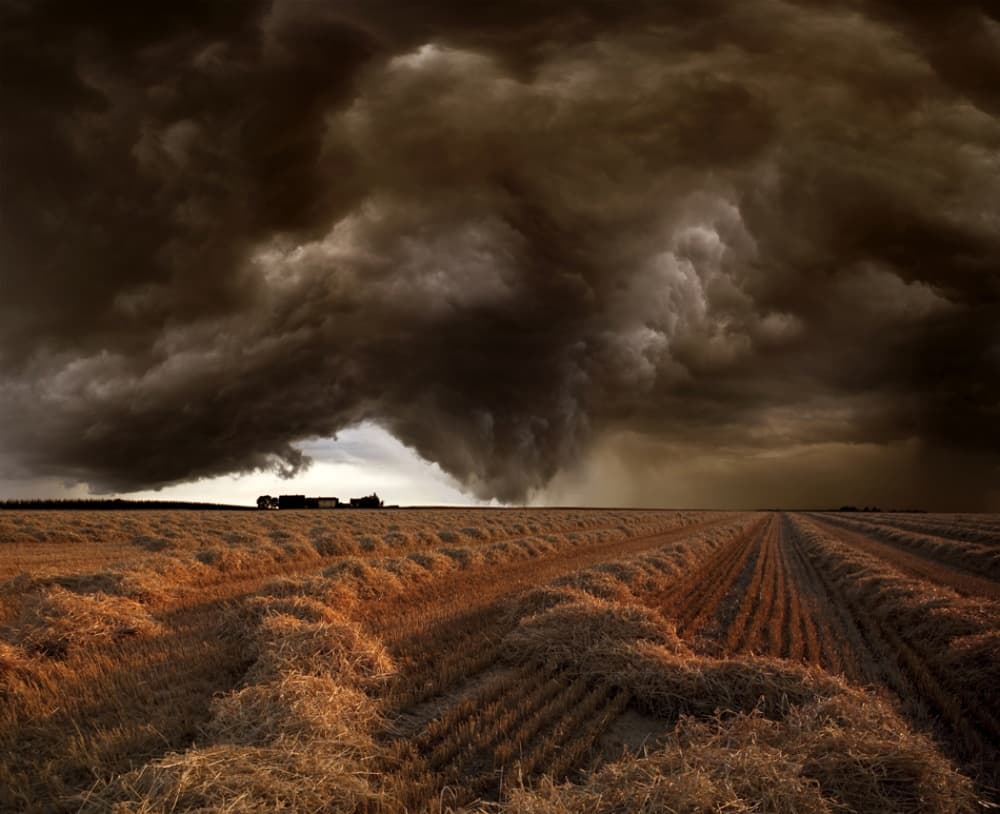 Storm Over Golden Field by Nicolas Schumacher — canvas wall art