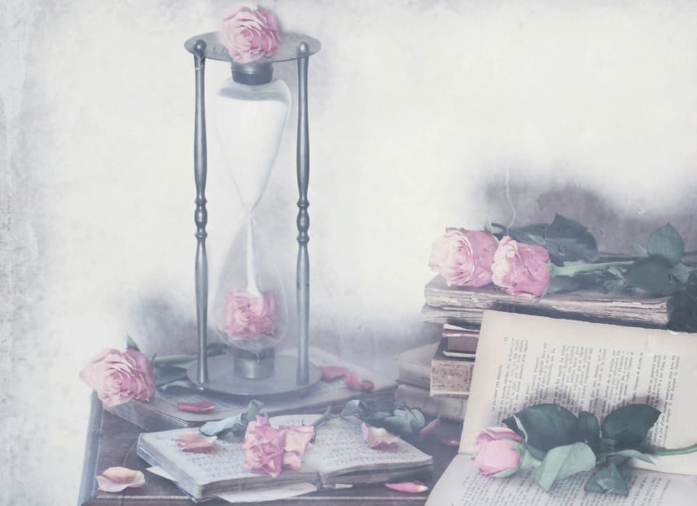 Timeless Roses And Books by Delphine Devos — canvas wall art