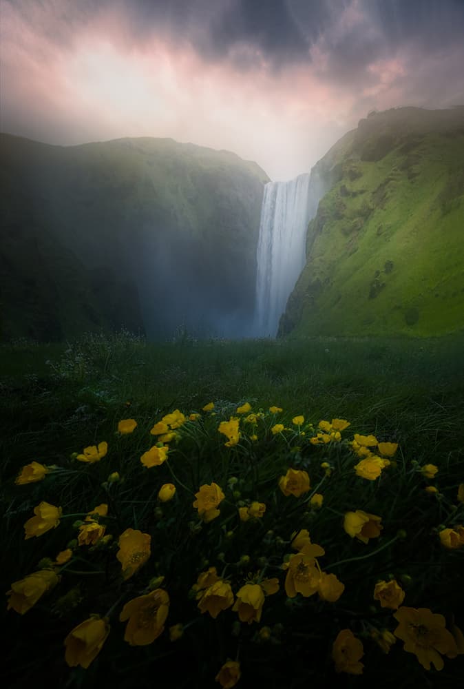 Valley Waterfall Bloom by Yun Thwaits — canvas wall art