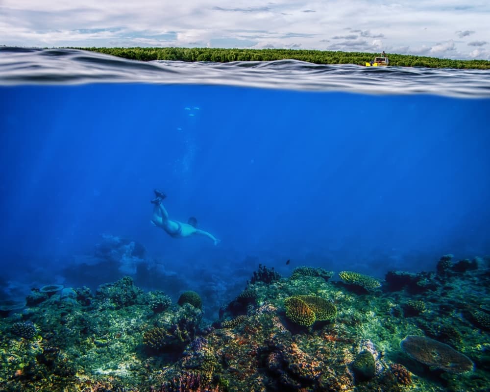 Tropical Diver Split Scene by Pavol Stranak — canvas wall art