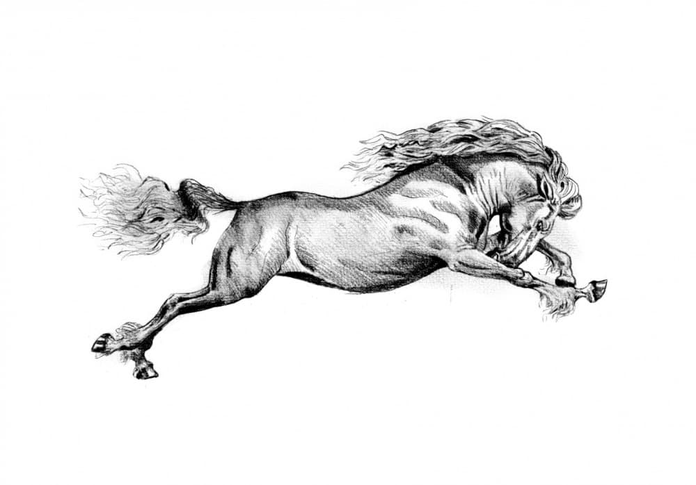 Galloping Wild Horse by Kulik — canvas wall art