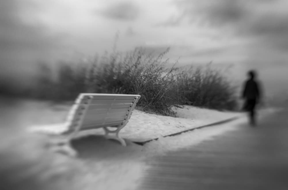 Solitary Bench Winter Walk by Anna Niemiec — canvas wall art