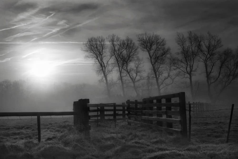 Misty Winter Morning by Yvette Depaepe — canvas wall art