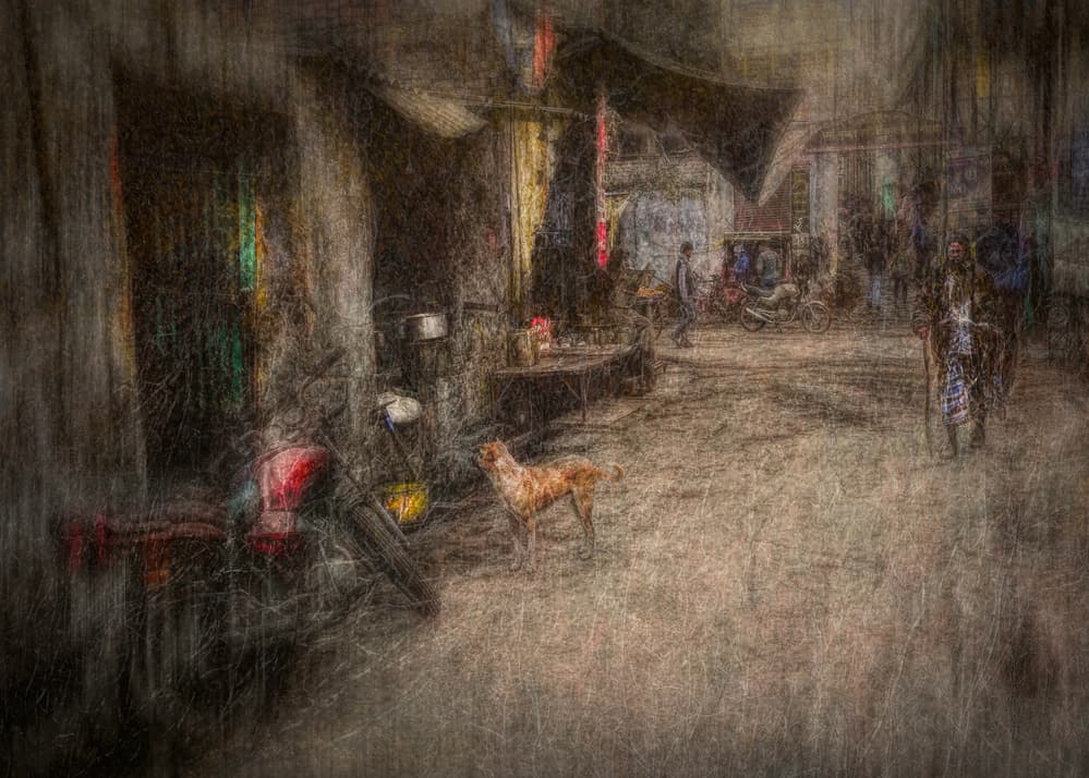 Old Town Street Dog by Roxana Labagnara — canvas wall art