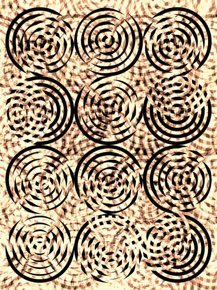 Dynamic Concentric Circles by Petr Strnad — canvas wall art