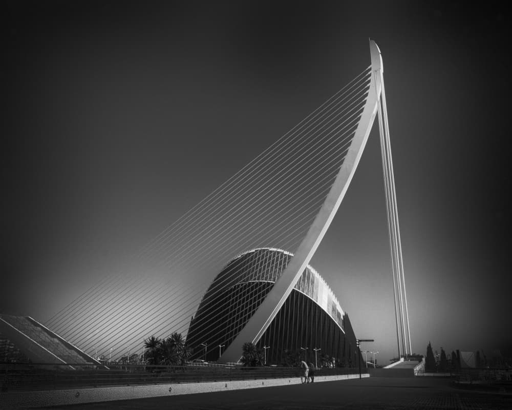Sleek Architectural Curves by Olavo Azevedo — canvas wall art