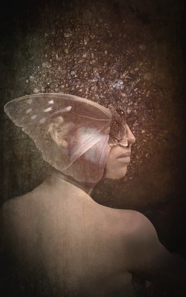 Ethereal Butterfly Profile by Gaby Grohovaz — canvas wall art