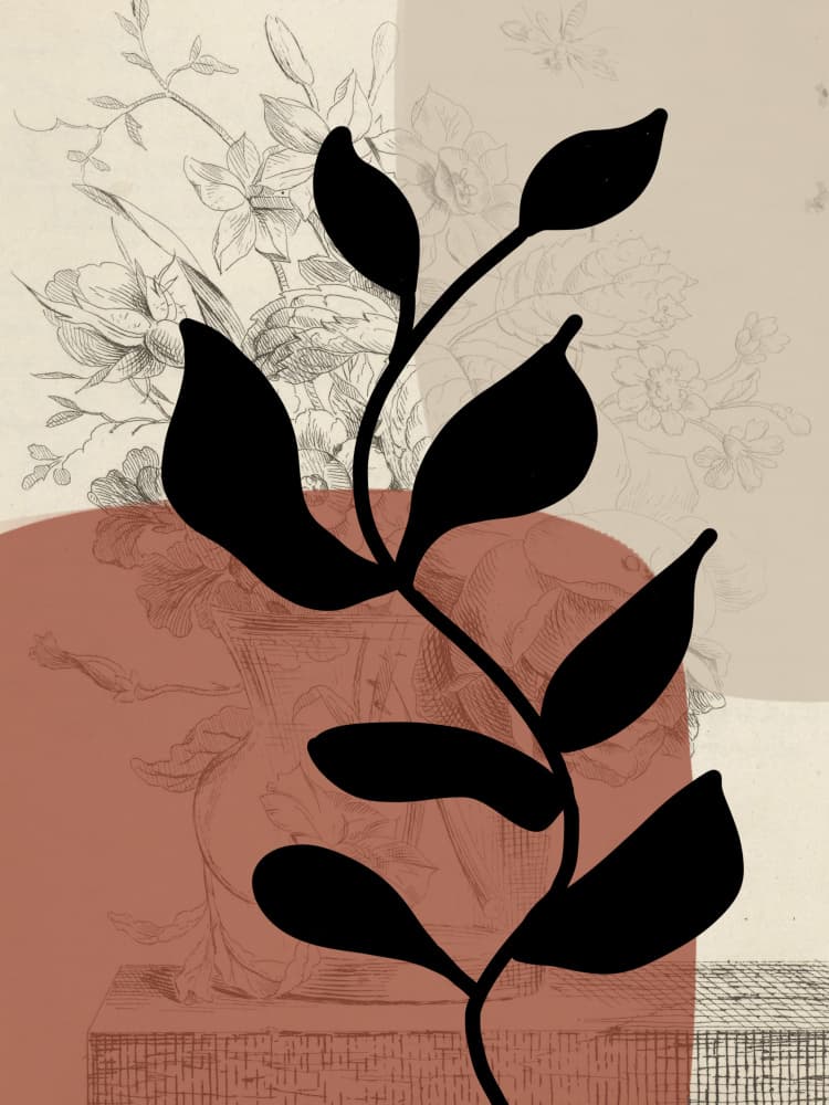 Black Botanical Silhouette by Studio Palette — canvas wall art