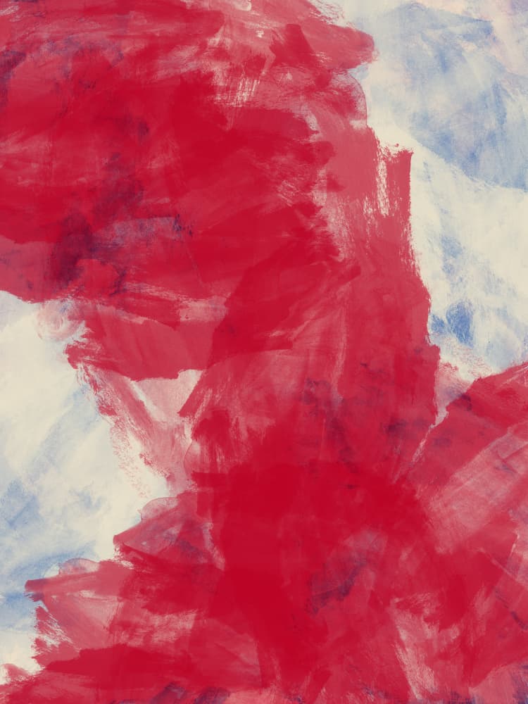 Bold Brushstroke Abstract by Dina Dankers — canvas wall art
