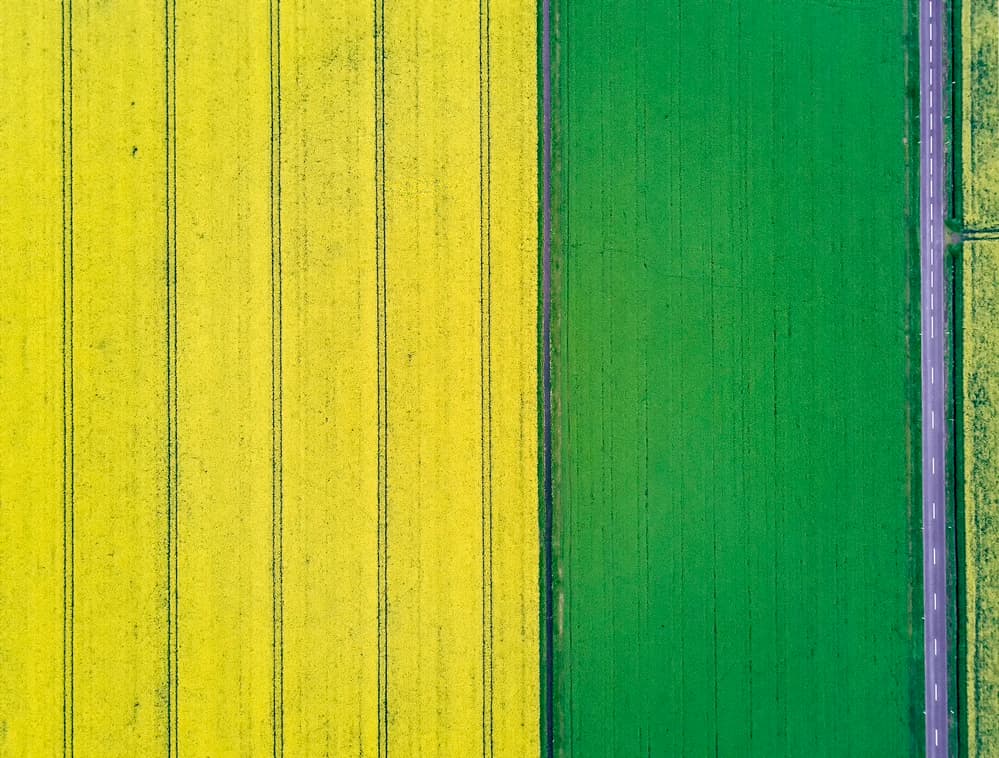 Vibrant Crop Fields by Zhou Chengzhou — canvas wall art