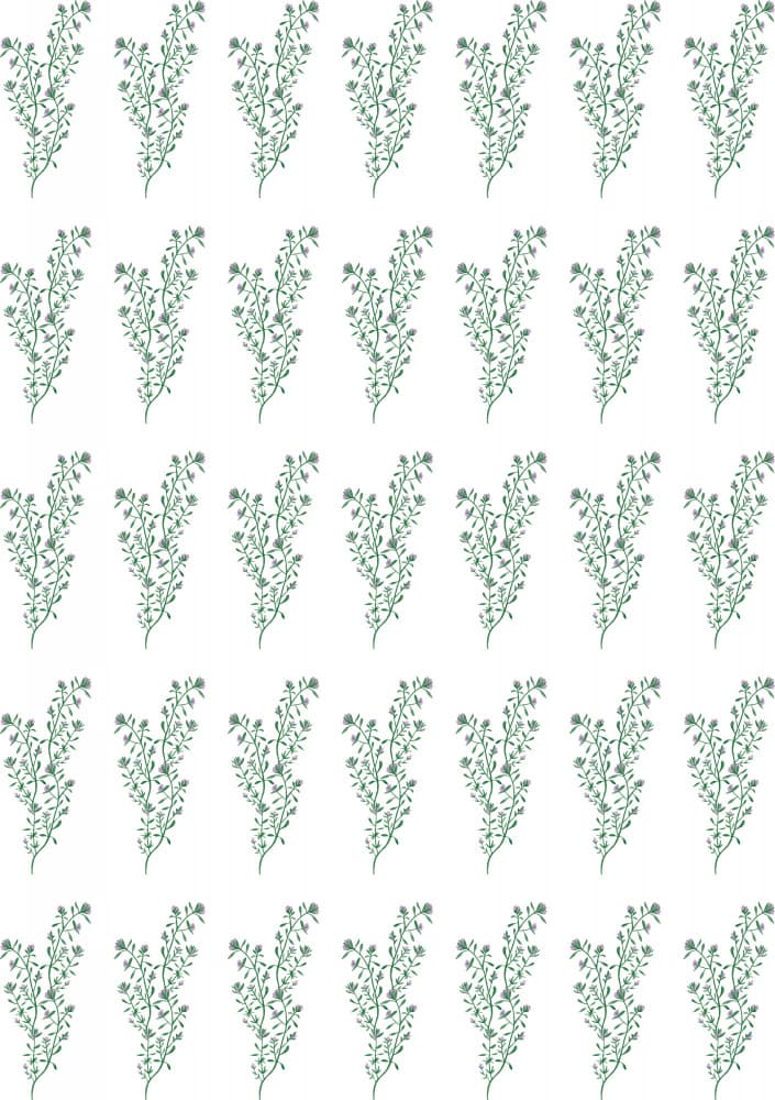 Delicate Green Sprigs by kathrinmay — canvas wall art