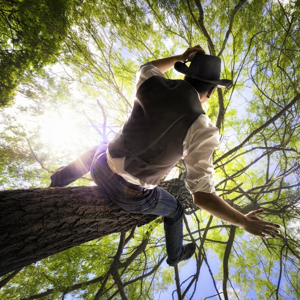 Man At Treetop by Christophe Kiciak — canvas wall art