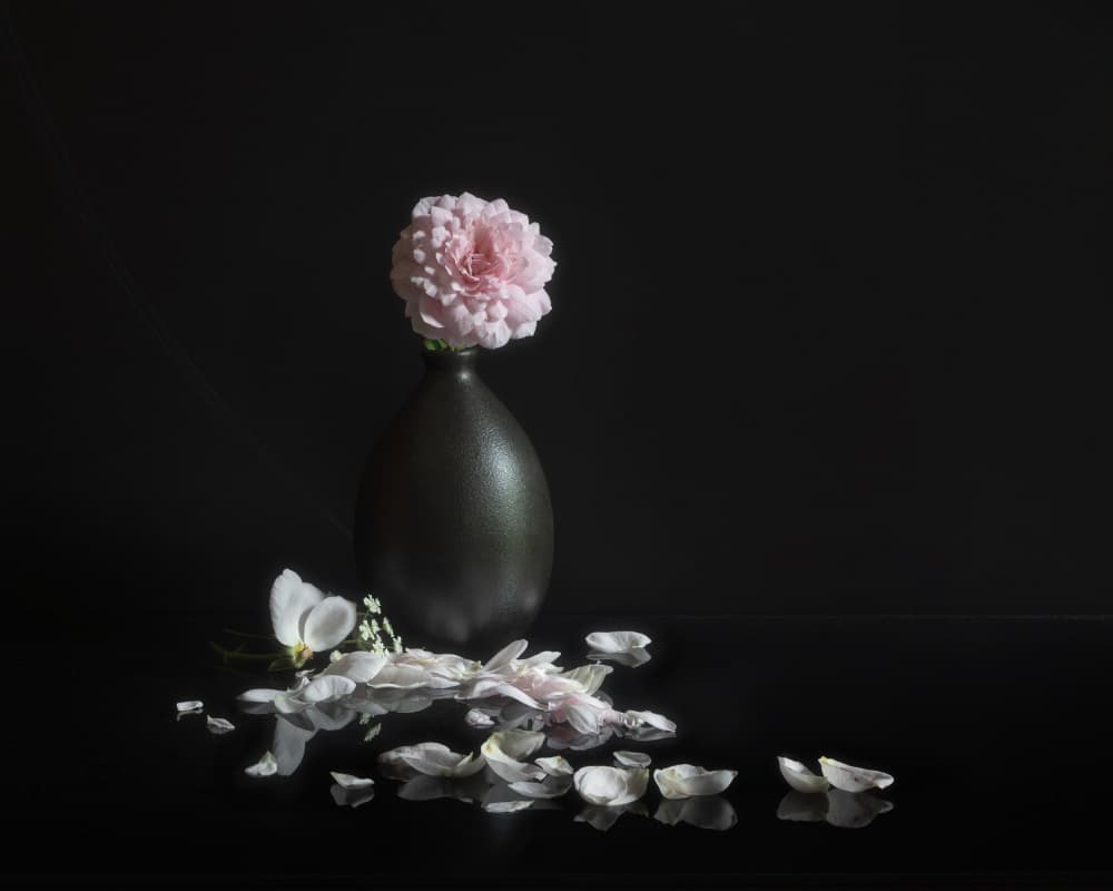Elegant Pink Still Life by Linda Lu — canvas wall art